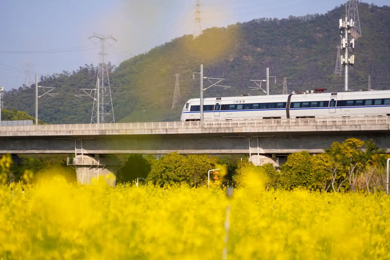 2025年山东环保设备市场趋势与达创科技技术布局解析