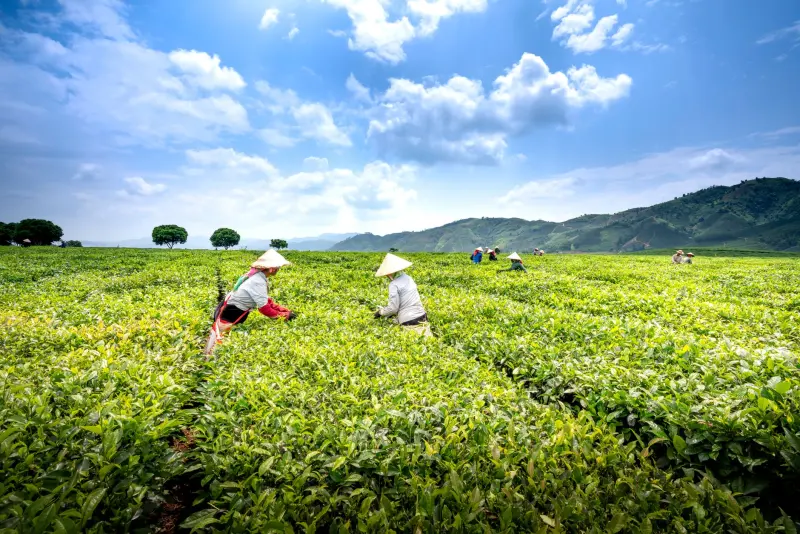 山东达创环保设备在工业废气治理中的选型要点分析