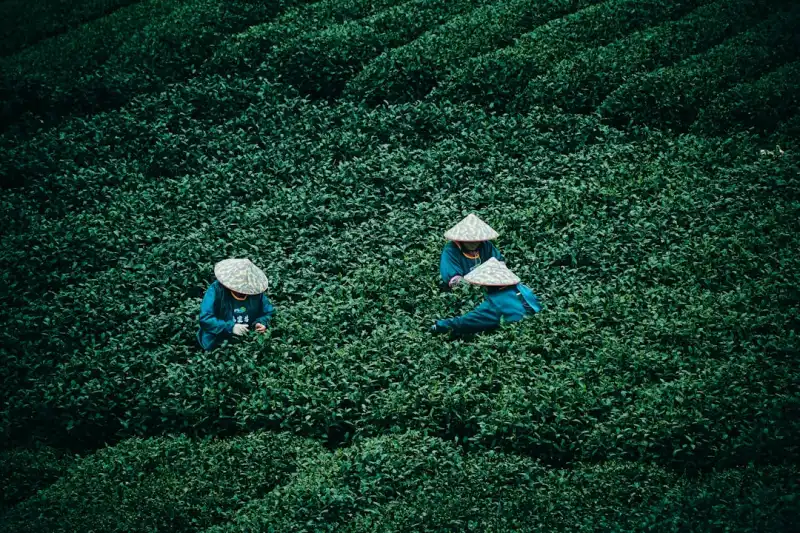 VOCs治理新趋势：达创环保设备在化工行业的应用与效能分析