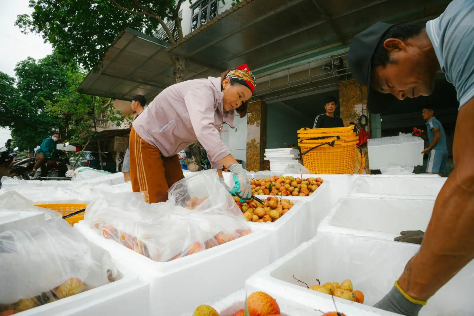 环保设备选型指南：工业废气治理方案的技术对比与成本分析