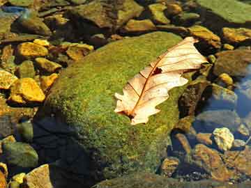 澳門一碼一碼精準(zhǔn)預(yù)測(cè)，揭秘準(zhǔn)確預(yù)測(cè)背后的秘密，澳門精準(zhǔn)預(yù)測(cè)一碼之謎，揭秘背后的秘密