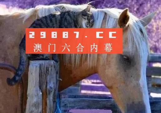 澳門一肖一碼一待一中四不像，探索與解析，澳門一肖一碼一待一中四不像，深度解析與探索