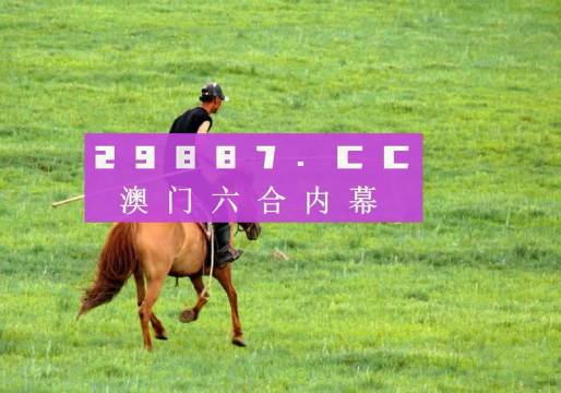 澳門鐵算資料開獎小說，揭秘數(shù)字背后的故事，澳門鐵算資料開獎揭秘，數(shù)字背后的故事