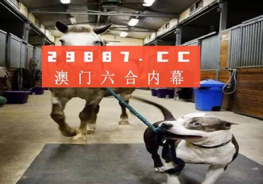 澳門一肖一碼一必中一肖，同舟前進的奧秘與策略，澳門一肖一碼必中策略與前進奧秘，同舟共濟的揭秘與策略