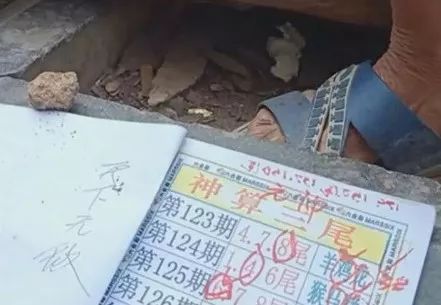香港中特期期準(zhǔn)資料，深度解析與探索，香港中特期期準(zhǔn)資料深度解析與探索報告