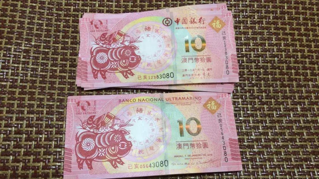 新澳門生肖走勢圖，深度解析與預(yù)測，澳門生肖走勢圖深度解析及預(yù)測報告
