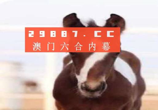 澳門一肖一碼一待一中資料，深度解析與探索，澳門一肖一碼深度解析與探索揭秘資料