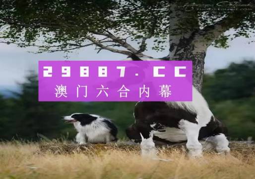 澳門天天空彩官網(wǎng)資料，探索彩票世界的門戶，澳門天天空彩官網(wǎng)資料，彩票世界探索門戶