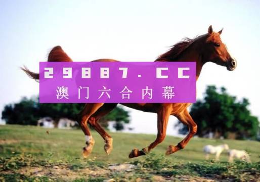 澳門一肖一碼一待一中，探索背后的神秘與魅力，澳門一肖一碼一待一中，揭秘背后的神秘魅力