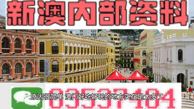 澳門(mén)精準(zhǔn)資料大全免費(fèi)，探索與解析，澳門(mén)精準(zhǔn)資料大全免費(fèi)解析探索
