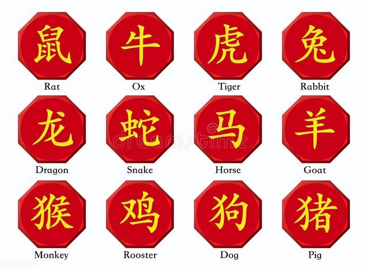新澳特碼，羊?；⒏鲾?shù)10——揭秘背后的數(shù)字奧秘，揭秘新澳特碼數(shù)字奧秘，羊?；⒏鲾?shù)背后的秘密