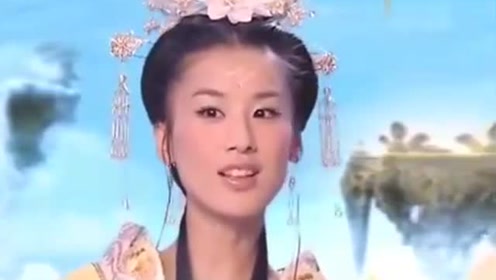 曾道道人資料免費大全，深度探索與解析，曾道道人資料深度解析與免費大全探索