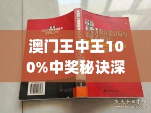 新澳門王中王期期中，探索與解析，新澳門王中王期期中，深度探索與解析