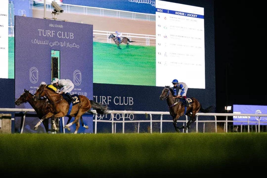 澳門特馬今晚開獎一，探索彩票背后的秘密與期待，澳門特馬今晚開獎，揭秘彩票背后的秘密與期待大獎的激動心情