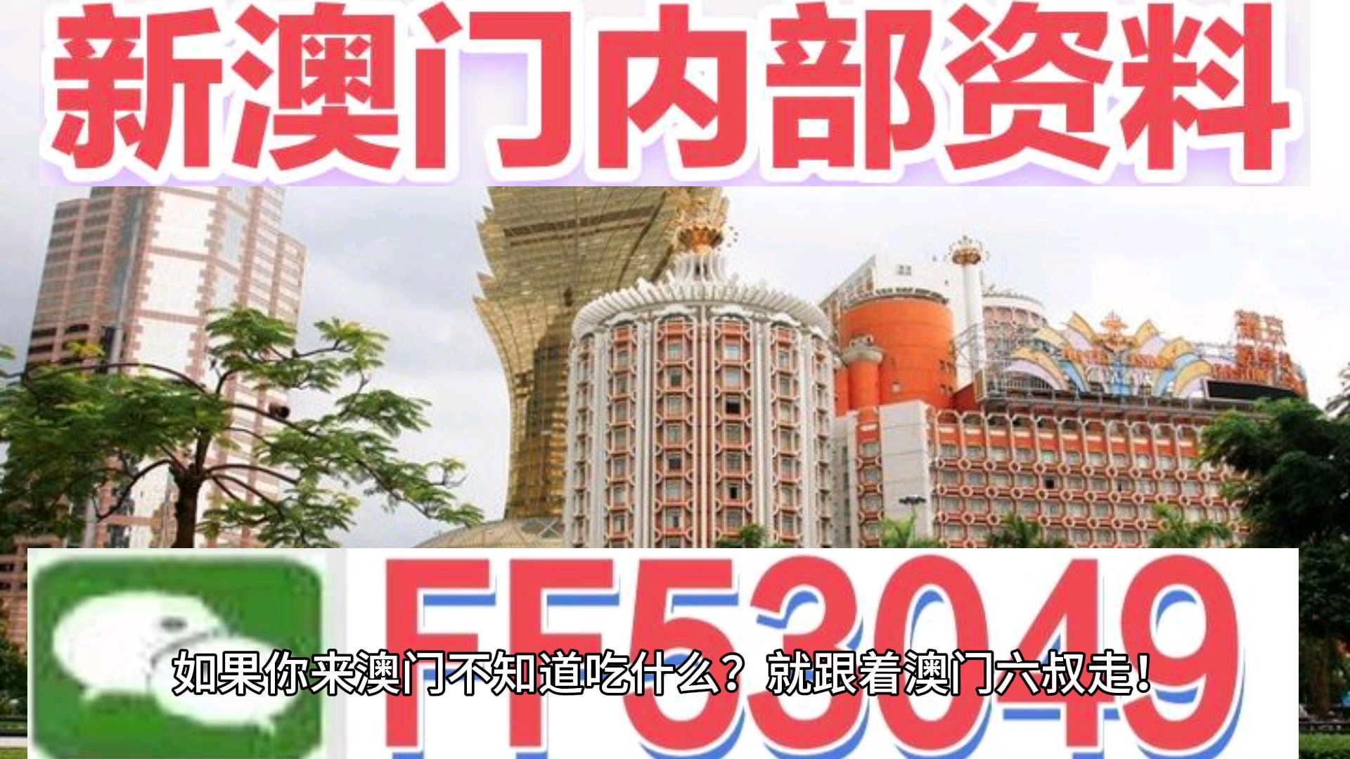 澳門今晚特馬生肖預(yù)測，探尋未來的幸運(yùn)符號（2025年），澳門生肖預(yù)測揭秘，探尋未來幸運(yùn)符號（特馬生肖預(yù)測 2025年展望）