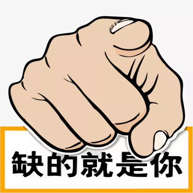 鐵算盤，全網(wǎng)矚目，傾力打造引領(lǐng)潮流的火熱品牌！，鐵算盤引領(lǐng)潮流，全網(wǎng)矚目成火熱品牌！