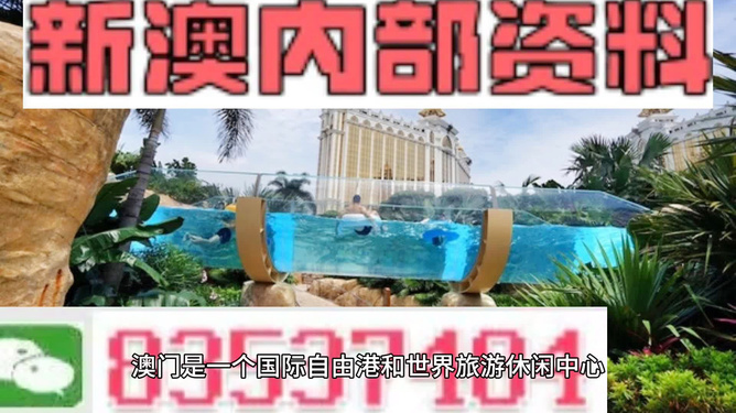 新澳的資料去哪里找——全面指南，新澳資料全攻略，尋找資料的途徑與指南