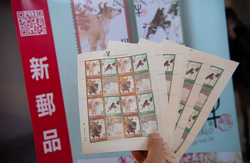 澳門值日生肖600圖庫與八百圖庫開獎，探索生肖圖庫的魅力與奧秘，澳門生肖圖庫開獎揭秘，探索值日生肖600圖庫與八百圖庫的魅力與奧秘