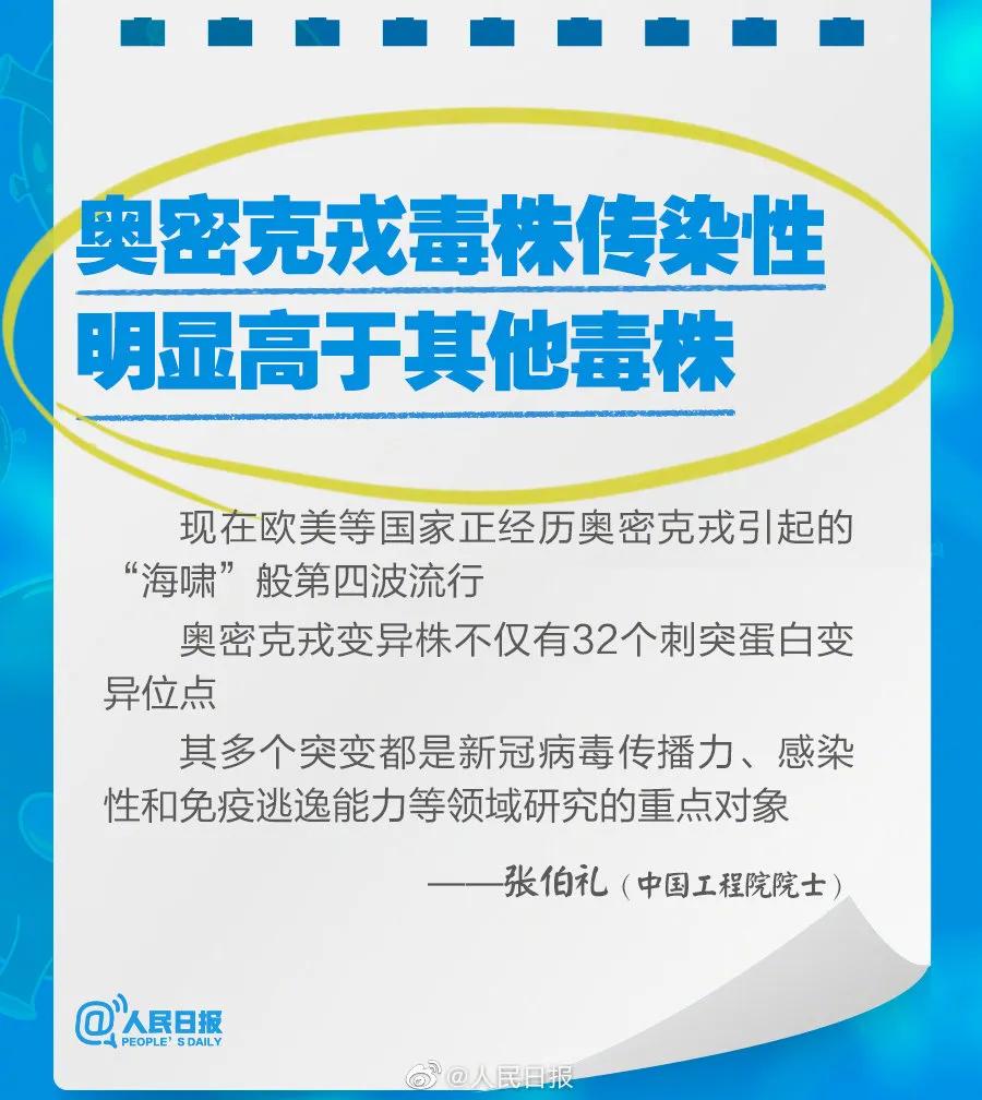 新奧2025最新資料大全，準確資料全面解析，新奧2025最新資料大全，全面解析準確資料一網(wǎng)打盡