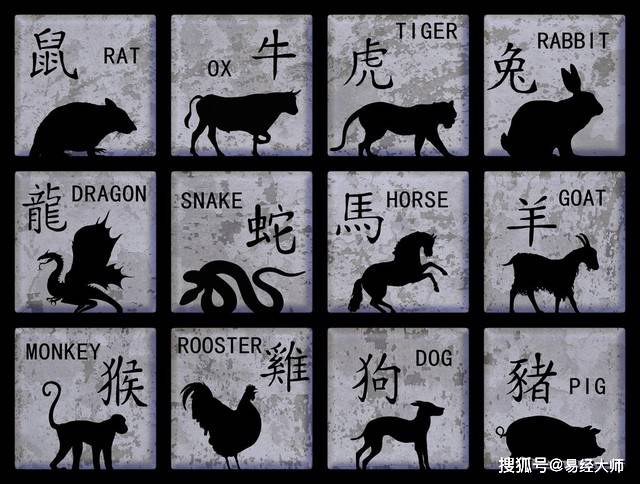 新澳特碼，羊?；⒏鲾?shù)10的獨特魅力與解析，新澳特碼，羊牛虎各數(shù)10的獨特魅力深度解析