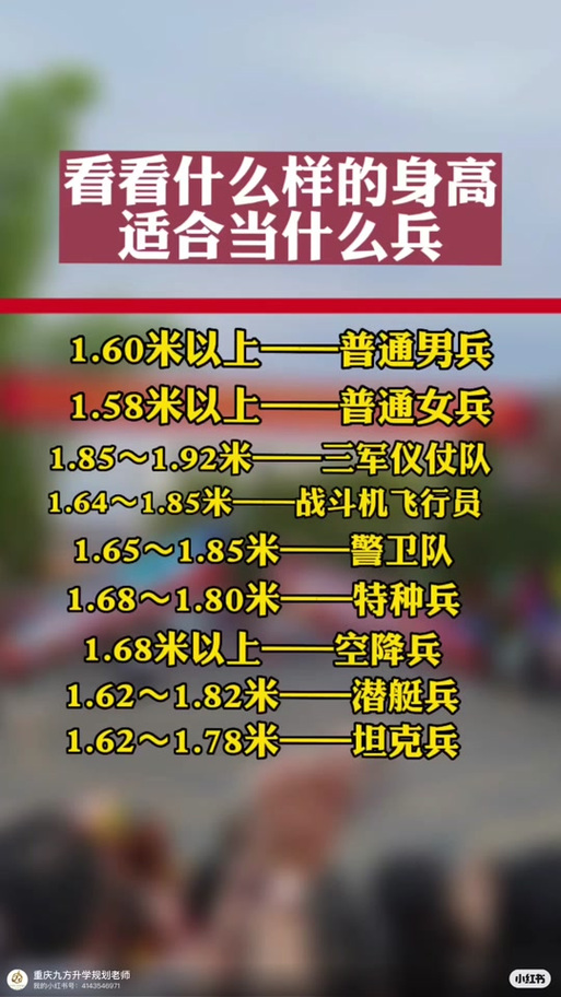 儀仗兵身高標(biāo)準(zhǔn)，探究與解析，儀仗兵身高標(biāo)準(zhǔn)，探究與詳解