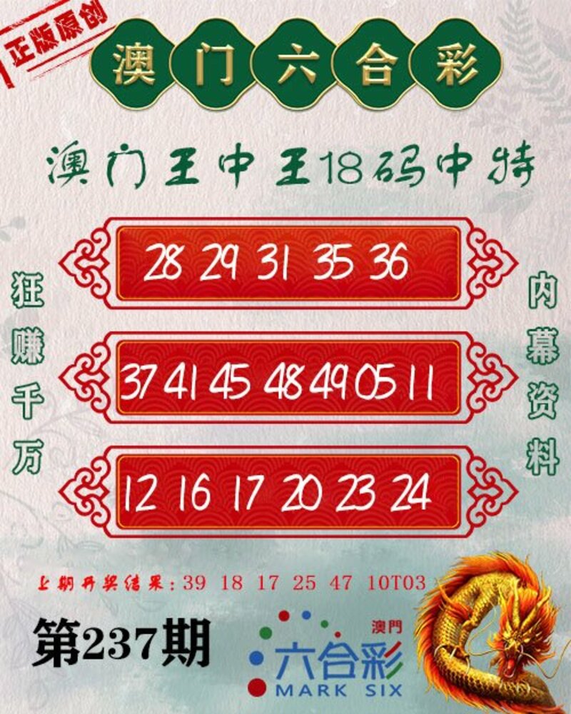 新澳門王中王期期中，探索與解析，新澳門王中王期期中，深度探索與解析