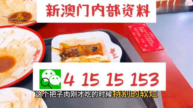 澳門王中王六碼新澳門，探索與解析，澳門王中王六碼新澳門，深度探索與解析