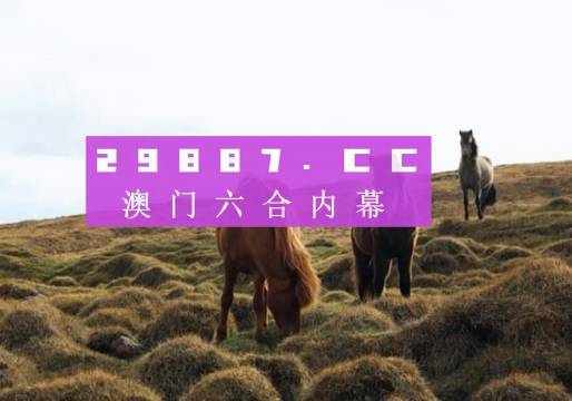 澳門今晚9點35開獎結果揭曉，揭秘彩票背后的秘密，澳門今晚9點35開獎結果揭曉，彩票背后的秘密大揭秘