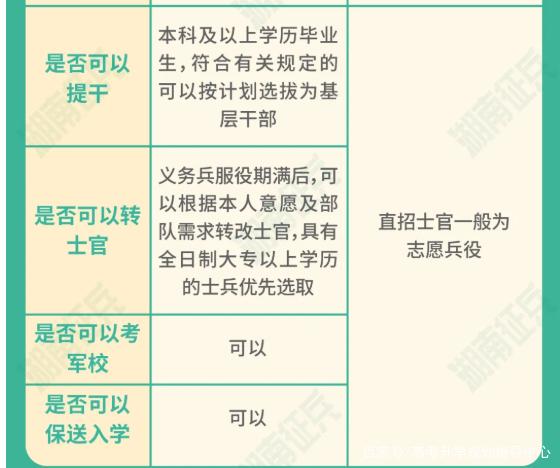 士官直招與義務(wù)兵的區(qū)別，深入了解軍隊(duì)招募制度，直招士官與義務(wù)兵招募制度深度解析，軍隊(duì)招募制度詳解