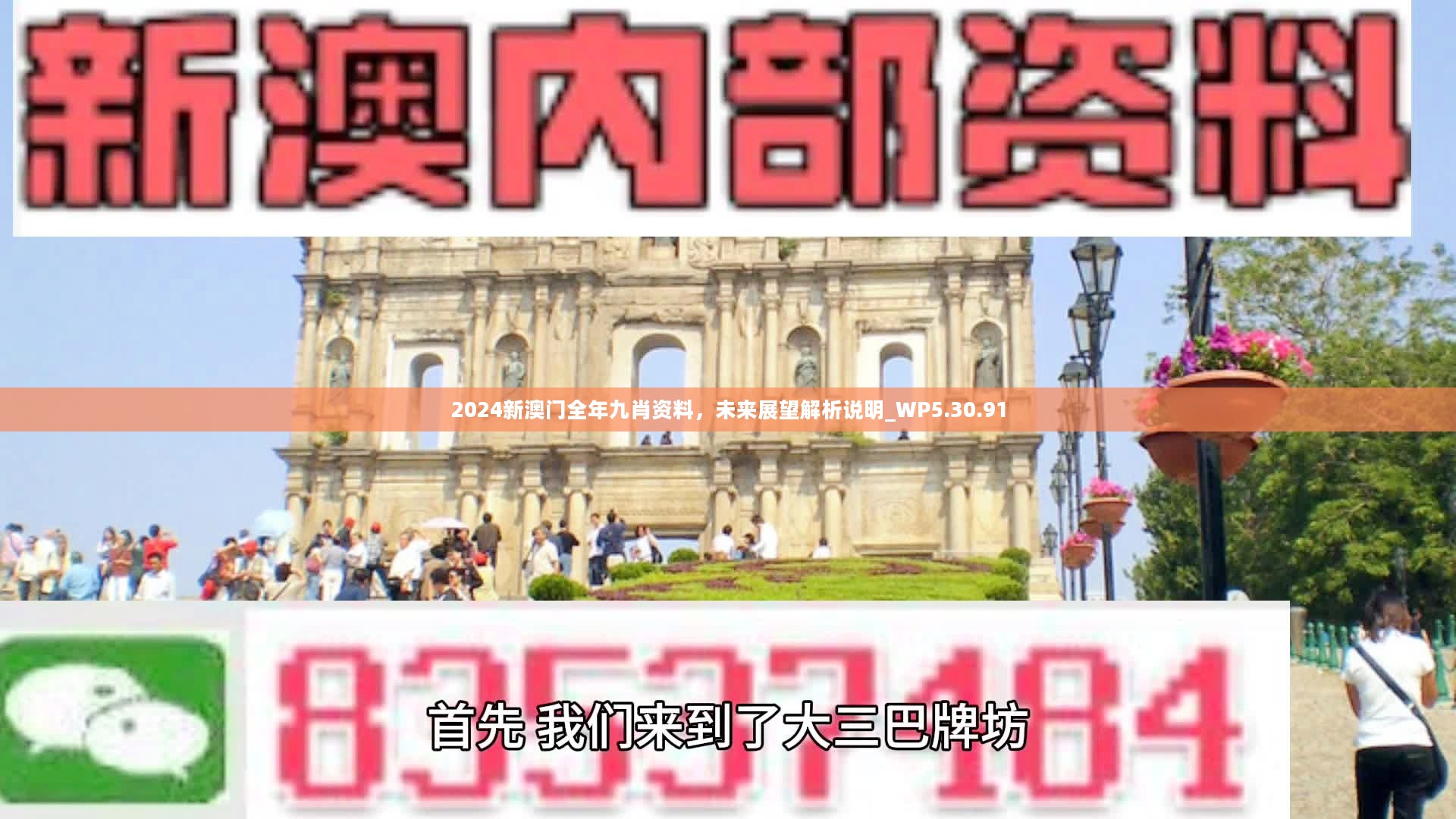 新澳門精準九肖，揭秘預(yù)測技巧與策略，揭秘新澳門精準九肖預(yù)測技巧與策略