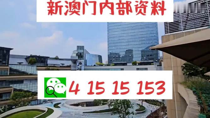 新澳門單雙，探索數(shù)字世界的奧秘與魅力，澳門數(shù)字世界的奧秘與魅力探索，單雙數(shù)的奇幻之旅