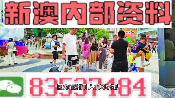 澳門資料大全新版本優(yōu)勢(shì)，澳門資料大全新版優(yōu)勢(shì)解析