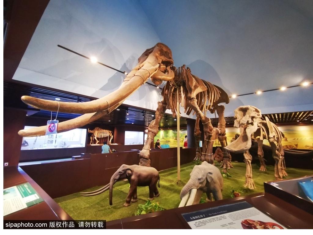 北京必去的十大博物館——探尋千年文化的精華之旅，北京必游十大博物館，千年文化精華之旅探尋記
