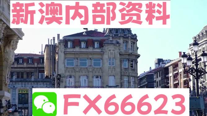 澳門六資料大全，深度探索與揭秘，澳門六資料大全，深度探索與揭秘之旅