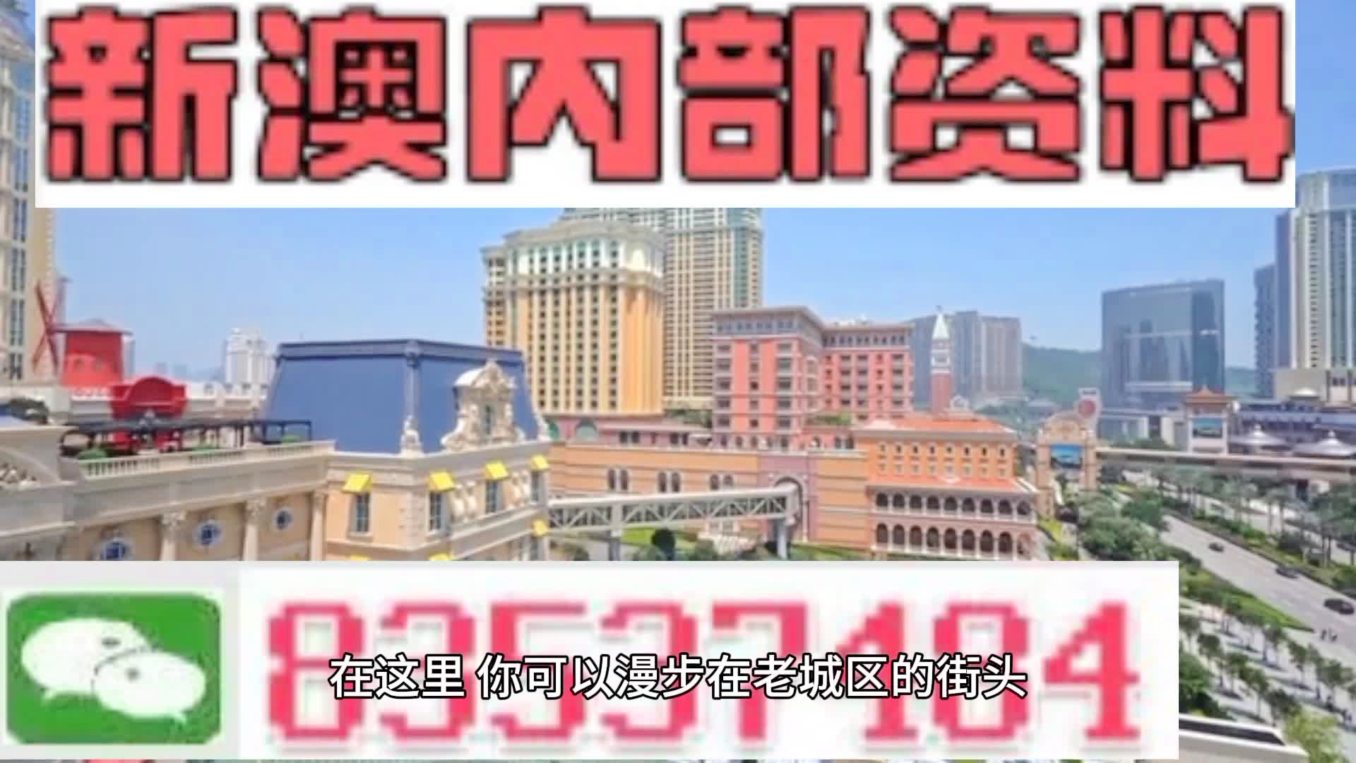 新澳門期期準(zhǔn)精準(zhǔn)，探索澳門的未來與SEO策略，澳門未來展望與SEO策略探索，精準(zhǔn)瞄準(zhǔn)新機(jī)遇