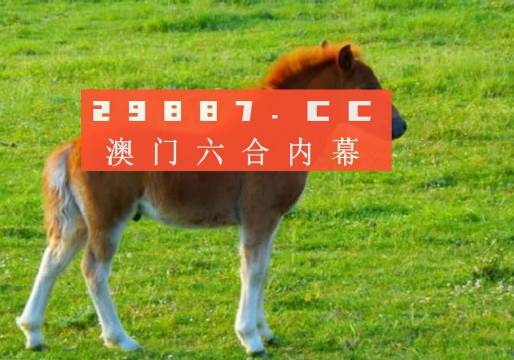 澳門文化魅力
