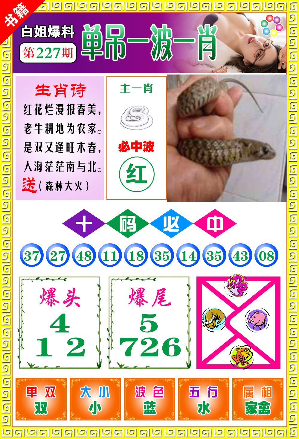 王中王100期期一肖，深度解析與SEO優(yōu)化策略，王中王100期期一肖深度解析與SEO策略全解析