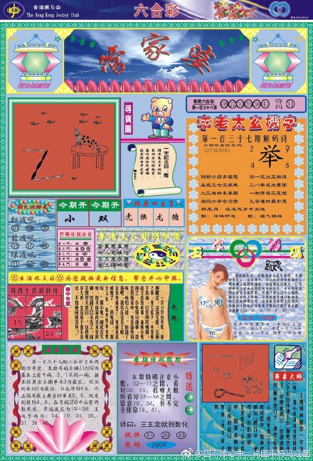 王中王四不像必出一肖圖——揭秘彩票背后的秘密，揭秘彩票背后的秘密，王中王四不像必出一肖圖的真相探索
