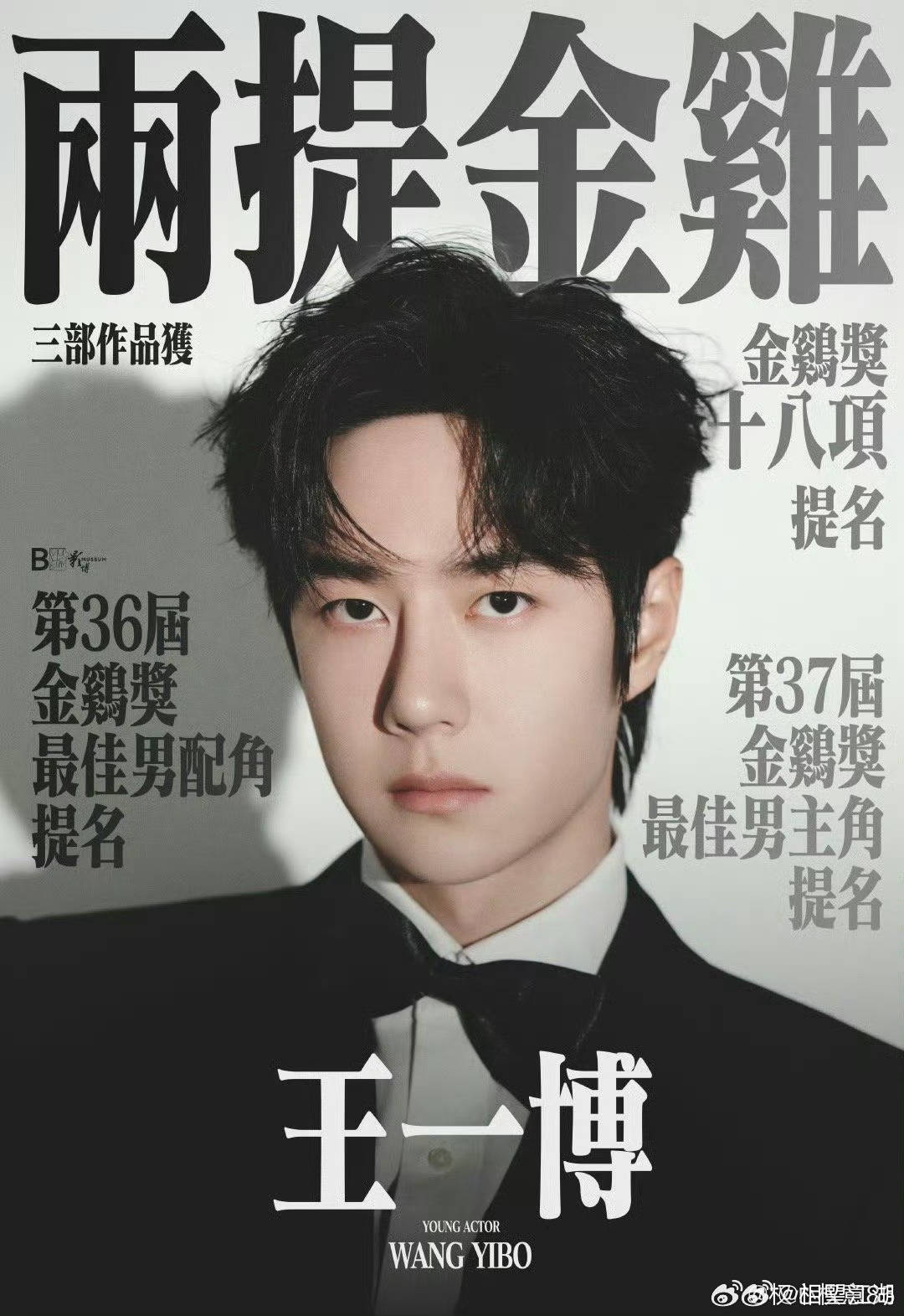 王中王一肖中特論特，深度解析與SEO洞察，深度解析王中王一肖中特論特與SEO洞察