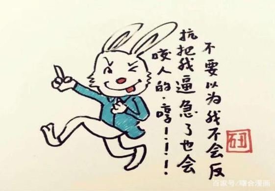 一肖不中賠多少倍，深度解析與策略建議，一肖不中賠倍深度解析及策略建議