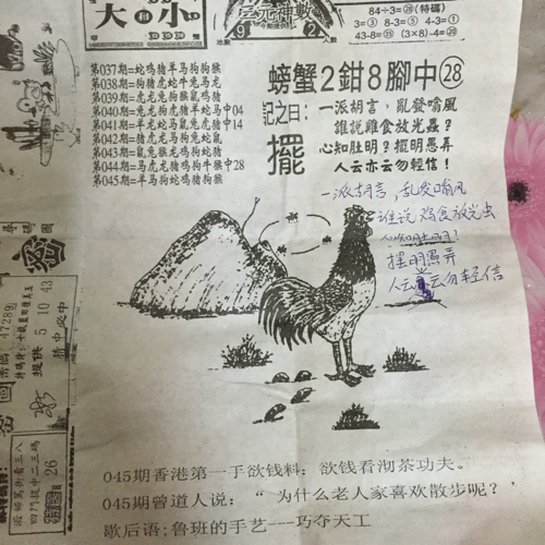 揭秘林中的高手王中王猜一肖的奧秘，揭秘林中之王王中王與生肖奧秘探秘