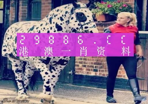 香港網(wǎng)址王中王一肖中特，探索與解析，香港網(wǎng)址王中王一肖中特，深度探索與解析