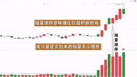王中王一肖平碼，揭秘背后的故事與SEO策略，王中王一肖平碼背后的故事與SEO策略揭秘