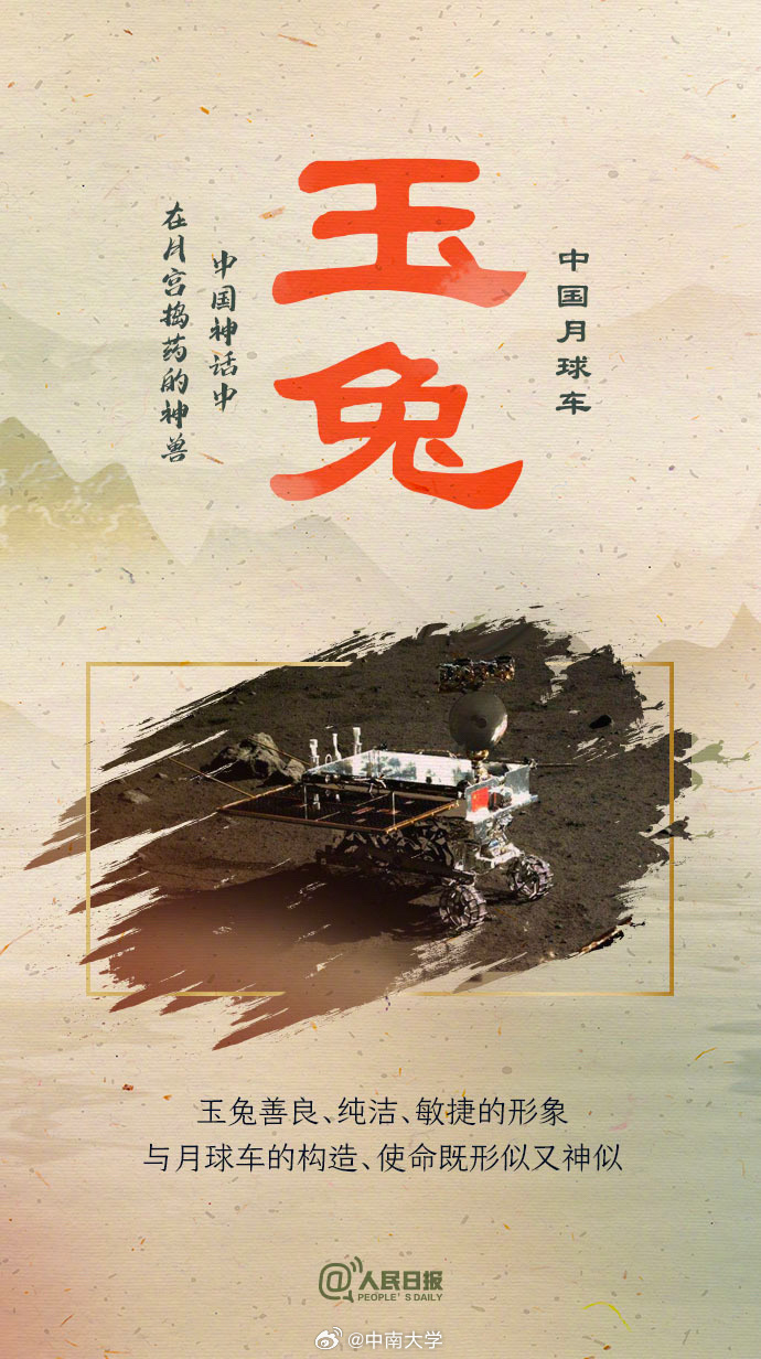 揭秘王中王平特一肖免會公開的奧秘，王中王平特一肖免公開揭秘奧秘