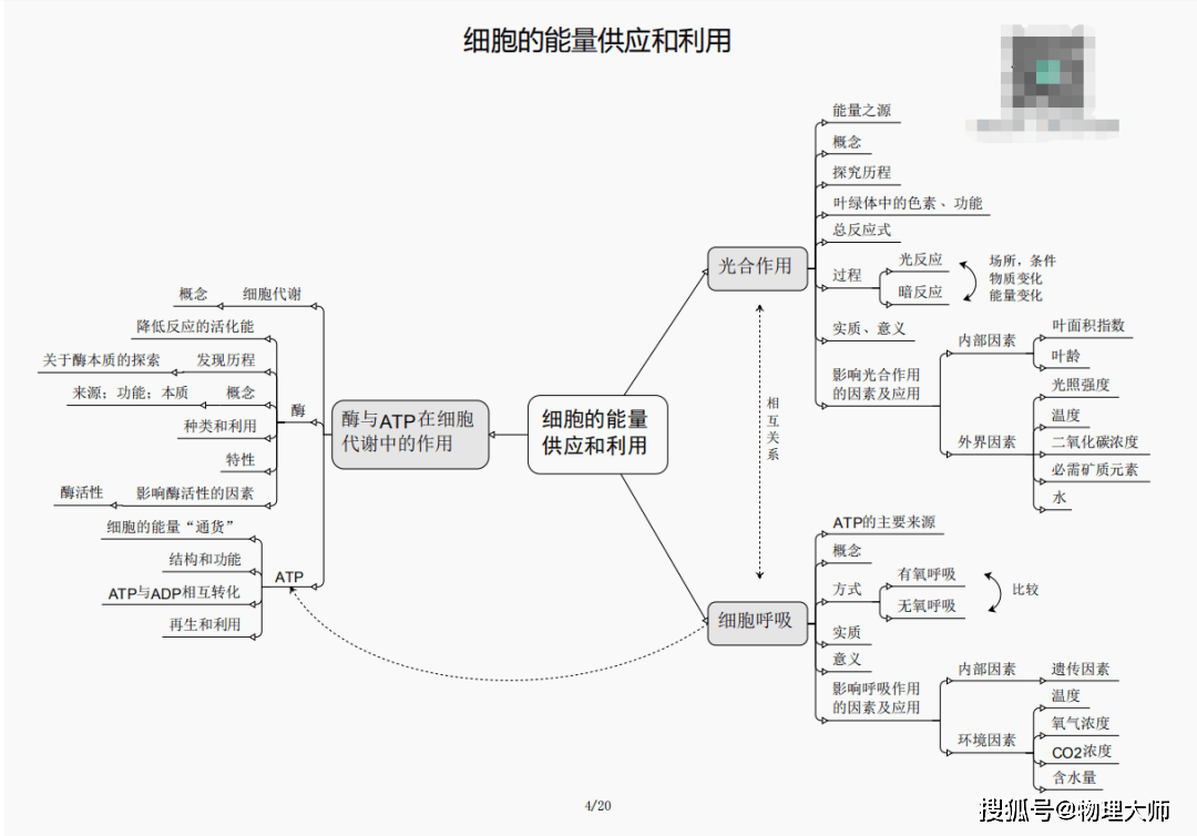 揭秘劉伯溫四肖三期內(nèi)必出一，神秘預(yù)言背后的真相，劉伯溫四肖三期預(yù)言真相揭秘，神秘預(yù)言背后的必然與偶然