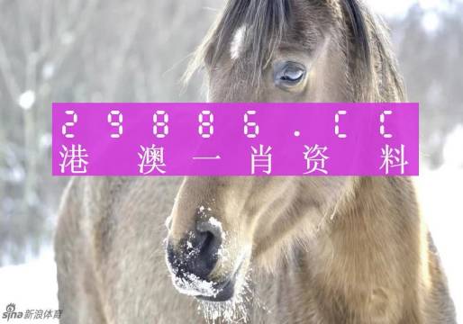 澳門一肖一碼背后的故事，一個(gè)關(guān)于精準(zhǔn)預(yù)測(cè)與傳奇的揭秘，澳門一肖一碼傳奇背后的精準(zhǔn)預(yù)測(cè)與揭秘之旅
