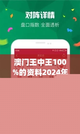 王中王網(wǎng)站一肖，探索與SEO優(yōu)化策略，王中王網(wǎng)站一肖，深度探索與SEO優(yōu)化策略實踐
