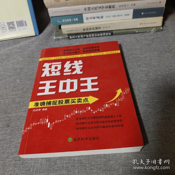 王中王平特一肖中的奧秘與探索，王中王平特一肖的奧秘與探索之旅