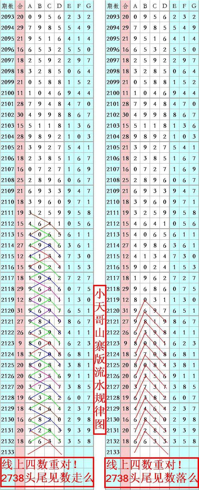 王中王精準(zhǔn)六肖6碼資料，探索精準(zhǔn)預(yù)測(cè)的魅力，王中王精準(zhǔn)六肖6碼資料，揭秘精準(zhǔn)預(yù)測(cè)的魅力