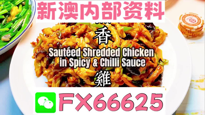 新奧天天精準資料大全，全方位解讀與應用指南，新奧天天精準資料大全，全方位解讀與應用指南手冊